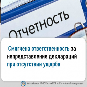 Смягчена ответственность за непредостовление деклараций при отсутствии ущерба