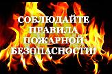 «Пожарная безопасность домашнего питомца и самого жилища – забота хозяина!»