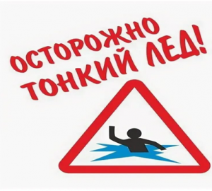С 23 января по 26 февраля 2026 года  проходит «Месячник безопасности на водных объектах».