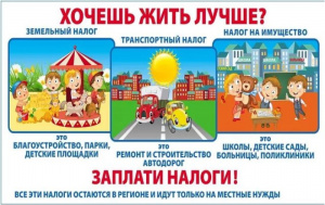 Налоги - это наши инвестиции в будущее!