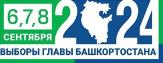 Выборы 2024!