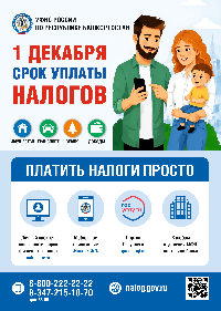 1 декабря срок уплаты налогов!